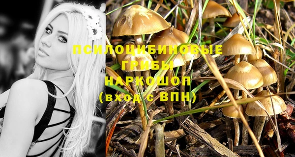 таблы Верея